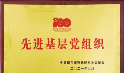 2021年先進(jìn)基層黨組織